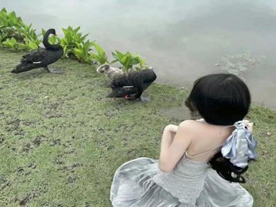 我爱台妹原版mp3下载,游戏主题曲魅力无限，经典旋律重温感动人心-3
