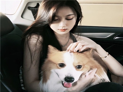 动漫美女露内裤ApP,惊曝：手机应用低俗内容引争议-4