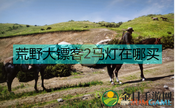荒野大镖客2马灯在哪买