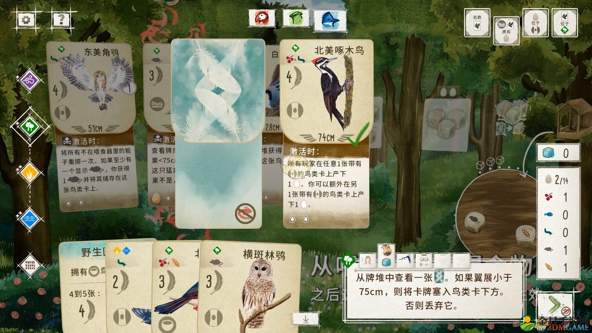 《展翅翱翔》回合与轮次内容介绍