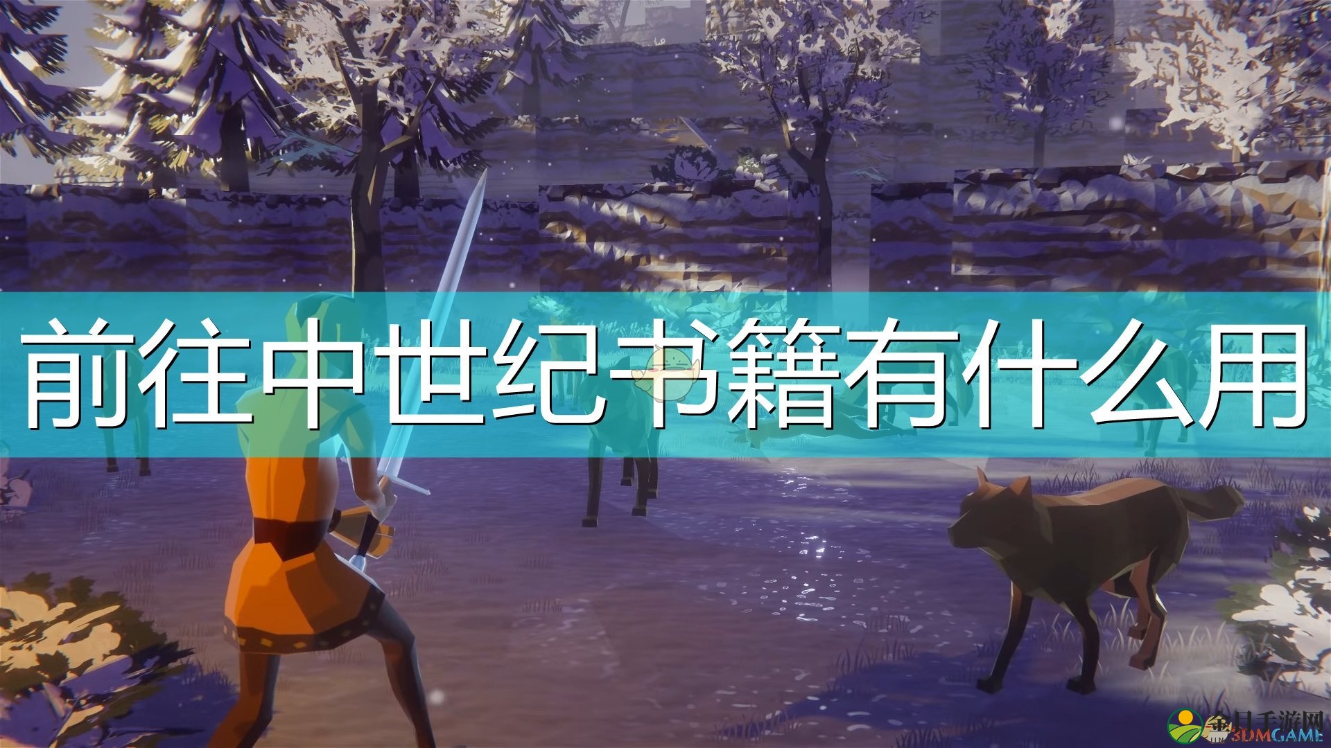 探索中世纪奥秘，书籍功能详述