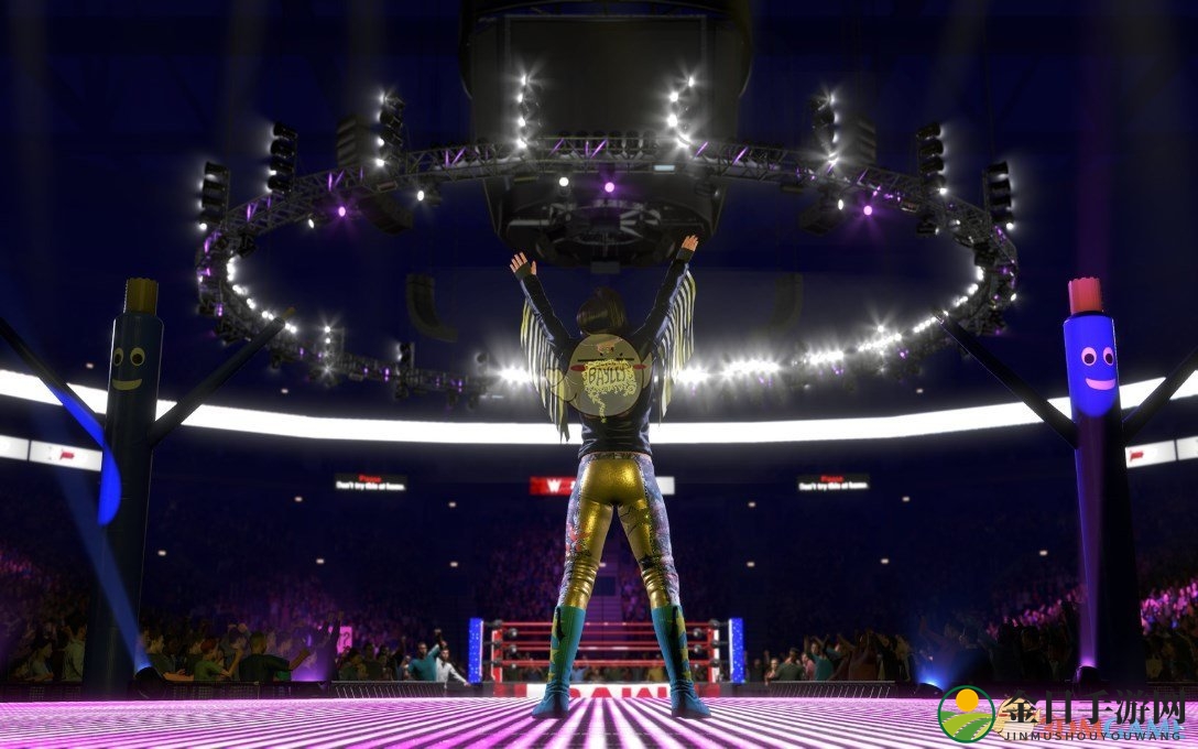 《WWE 2K20》游戏收藏版内容一览