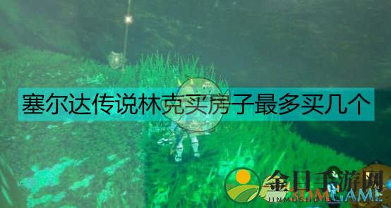 《塞尔达传说》中林克购房上限揭秘，究竟可以购买多少座？