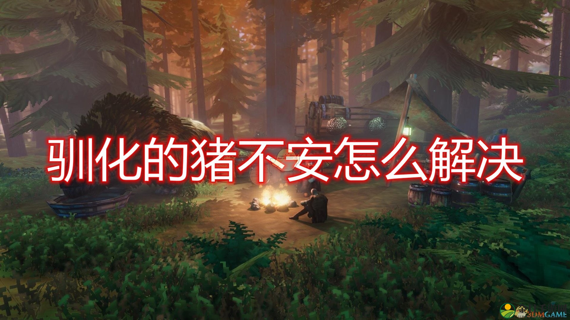 《Valheim：英灵神殿》驯化猪不安解决方法介绍