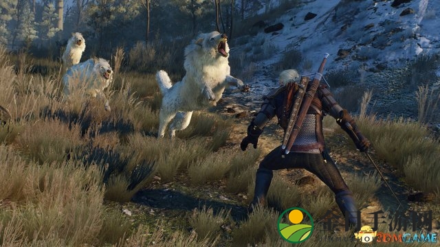 Xbox One《巫师3：狂猎》1.03补丁上线 锁定30帧