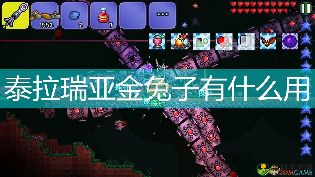 泰拉瑞亚金兔有何妙用解析