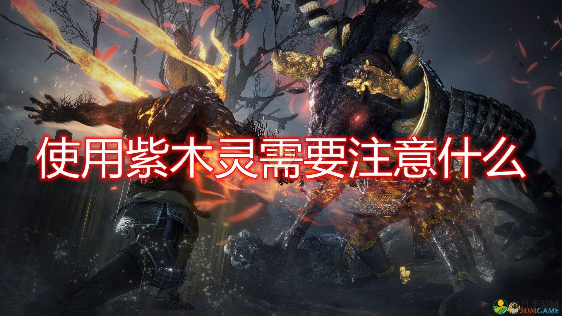 《仁王2》紫木灵使用注意事项分享