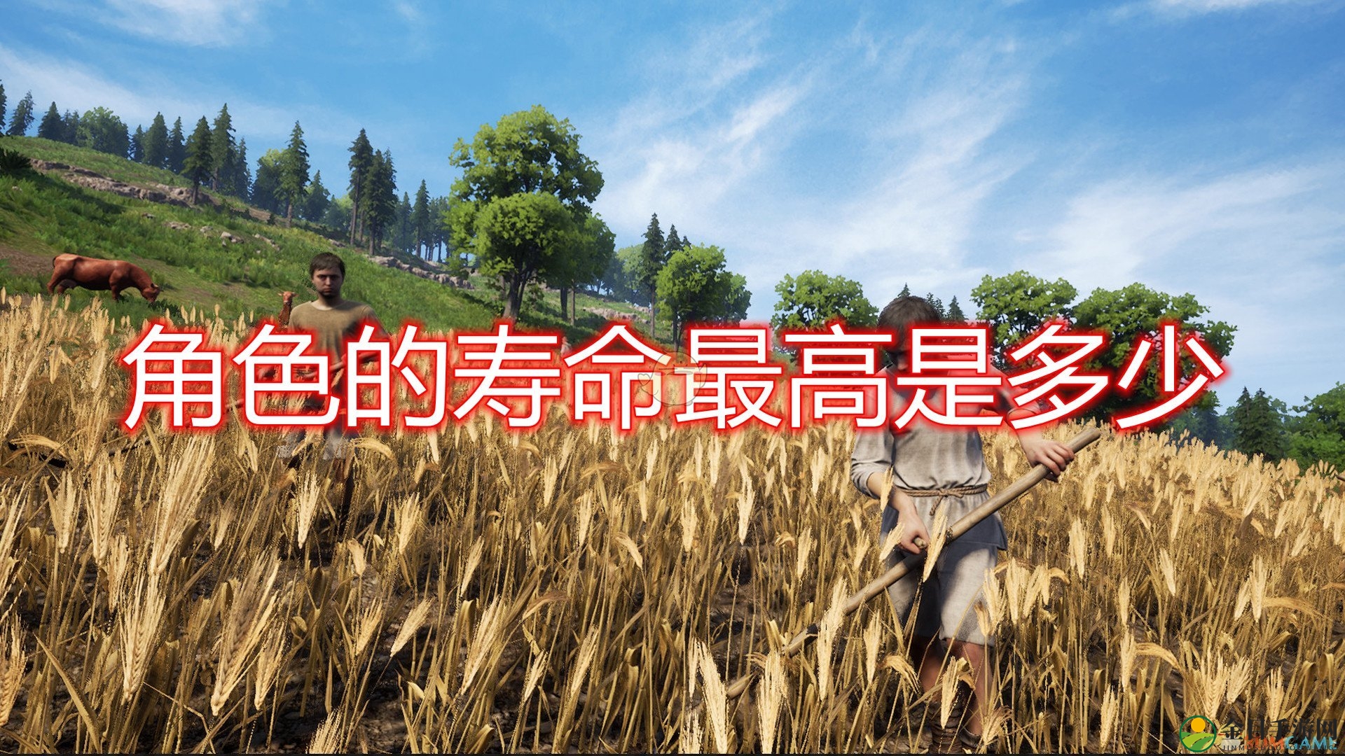 《中世纪王朝》角色寿命上限介绍