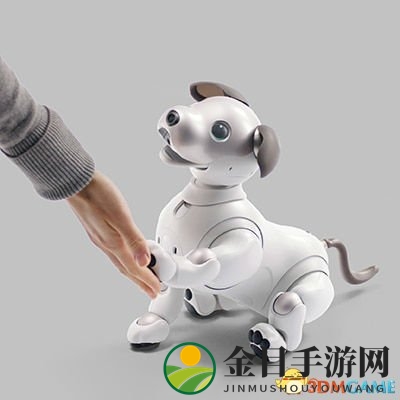 干净乖巧不掉毛！索尼将扩大aibo机器狗生产规模
